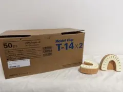 ディーシーシー モデルカップ/T-14 ブラウン32個 歯科 歯科技工 模型台 