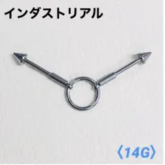 Item thumbnail for item 4acad89f-4ed8-4630-91d5-5aa8c513332c