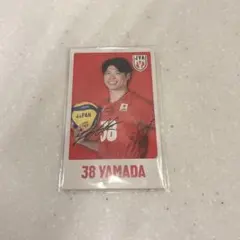 バレーボール男子日本代表ガチャ 第6弾 ステッカー2枚セット 山田大貴選手 38