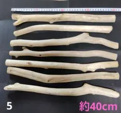 流木 7本セット 5