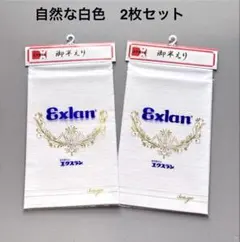 【新品】 夏半襟 絽半衿 エクスラン 2点セット 自然な白色のサムネイル