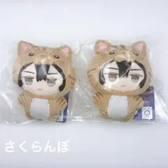 僕のヒーローアカデミア ヴィジランテ 相澤消太 みみぐるみ イレイザー