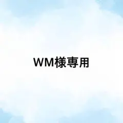 SEVENTEEN とるパカ ウォヌWONWOO アクリルスタンド2種