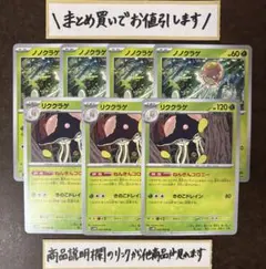 リククラゲ3枚　ノノクラゲ4枚