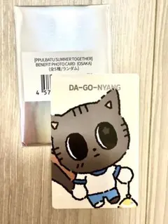 TXT プルバトゥ サマー　購入特典トレカ ダゴニャン