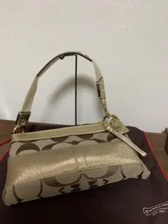 2026年最新】coach ワンショルダーバッグ シグネチャーの人気アイテム