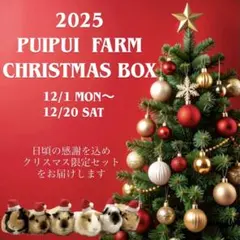 Christmas Box☆生牧草 オーツヘイ イタリアンライグラス