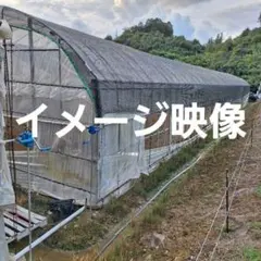 お値下げ致しました」農業用遮光ネット(ネットタイプ) - メルカリ