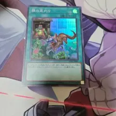 遊戯王OCG 隣の芝刈り