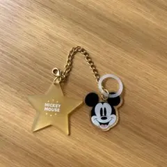 ディズニーストアシークレットボックス　ミッキーマウス