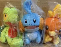 一番くじポケモン 30thポッチャマ ヒトカゲ 2点セット！ - メルカリ