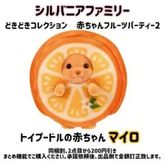 シルバニアファミリー　トイプードルの赤ちゃんのみ