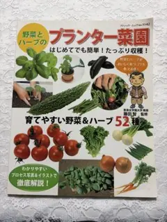 野菜とハーブのプランター菜園 ブティック・ムックno.1142