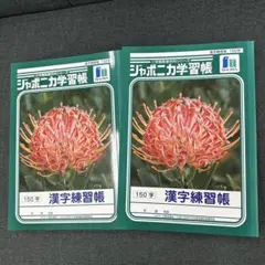 ジャポニカ学習帳漢字練習帳 ✖️2冊 値下げ即買いNGのサムネイル
