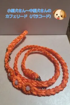 小型犬さん～中型犬さんのカフェリード（パラコード）54