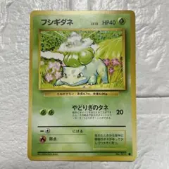 フシギダネ LV.13 HP40 No.001