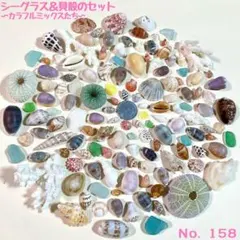 シーグラス＆貝殻のセット　No.158