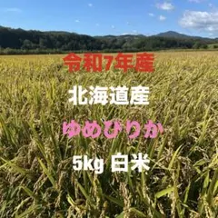 栃木のお米！ゆうだい21・5kg 超メルカリ市限定♡ - メルカリ