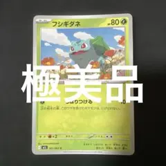 (極美品)(状態良好)(即日発送)フシギダネ C ポケモンカード
