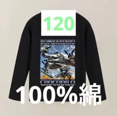 イタリアンブレインロット　ボンバルディーロクロコディロ　ロンＴ　120