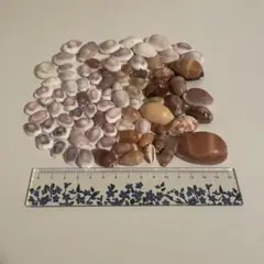 Item thumbnail for item a90273bb-206d-448d-8887-b0f51568469b