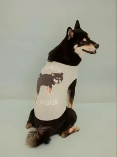 2026年最新】ジェラピケ柴犬の人気アイテム - メルカリ