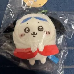 ちいかわ　サンリオ　ぷちミニフード　マスコット　ハチワレ　ポチャッコ