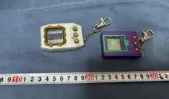 Item thumbnail for item c779abb2-4c9c-4f0c-a931-cb9e4c48f956