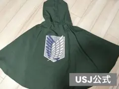 進撃の巨人 進撃フェス 調査兵団マント 10th ATTACK FES - メルカリ