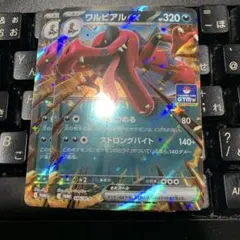 ワルビアルex ジムプロモ　2枚