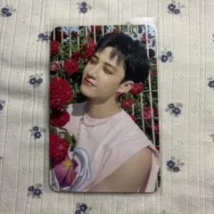 Stray Kids バンチャン　MAXIDENT BDM 限定　特典　トレカ