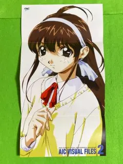 1998年 AIC VISUAL FILES 2 告知 チラシ
