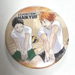 ハイキュー コレクション缶バッジ第7弾 日向翔陽