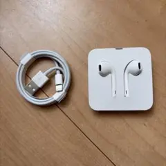 Apple純正品 イヤフォン USB Lightningケーブル