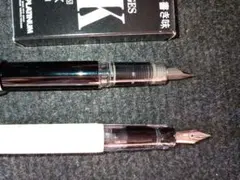 PILOT万年筆 kakuno細字&PLATINUM万年筆プレジール細字のセット
