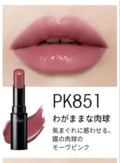 Visee ネンマクフェイクルージュ PK851 わがままな肉球