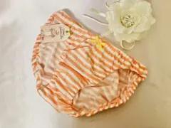 3L-473O☆新品 ボーダー綿ふんわり接結ニット インゴムショーツ 昭和レトロ