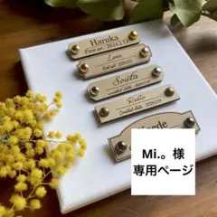 【お急ぎ便】Mi.。様専用ページ