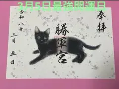 ○駒込 妙義神社 勝軍宮 令和8年2月2日 黒猫 見開き 御朱印 勝運