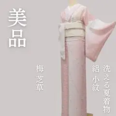 未着用　付け下げ　夏用　絽　短冊　鷺　鶴　金彩　パープル系　着物　052w d 未着用 付け下げ 夏用 絽 短冊 鷺 鶴 金彩 パープル系 着物 052w d