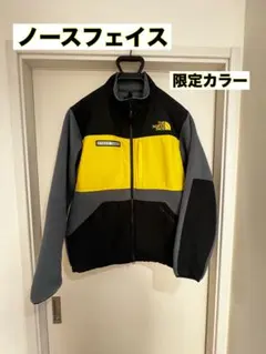 THE NORTH FACE STEEP TECH ジャケット 限定カラー