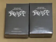 ALD1 少年BEAST Hissing 完全未開封 2個