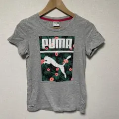 PUMA プーマ　半袖　Tシャツ　グレー　プリント