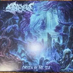 テクデス 廃盤 Devils Reef / Chosen By the Sea