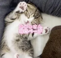 みじゅさん専用ページです