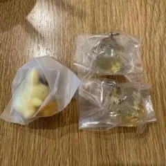 サンリオ ポムポムプリン