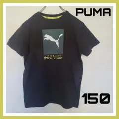 PUMA Tシャツ 150 半袖 ロゴ ブラック スポーツ プーマ キッズ