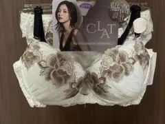 Item thumbnail for item 2d6a6045-8326-4a94-84cd-a5f99ad516ad