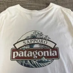 激レアUSA製90sパタゴニア葛飾北斎_富嶽三十六景 Tシャツ Sサイズ