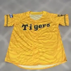 Item thumbnail for item 1b82e74a-9f07-4940-91da-7f6959da6e06